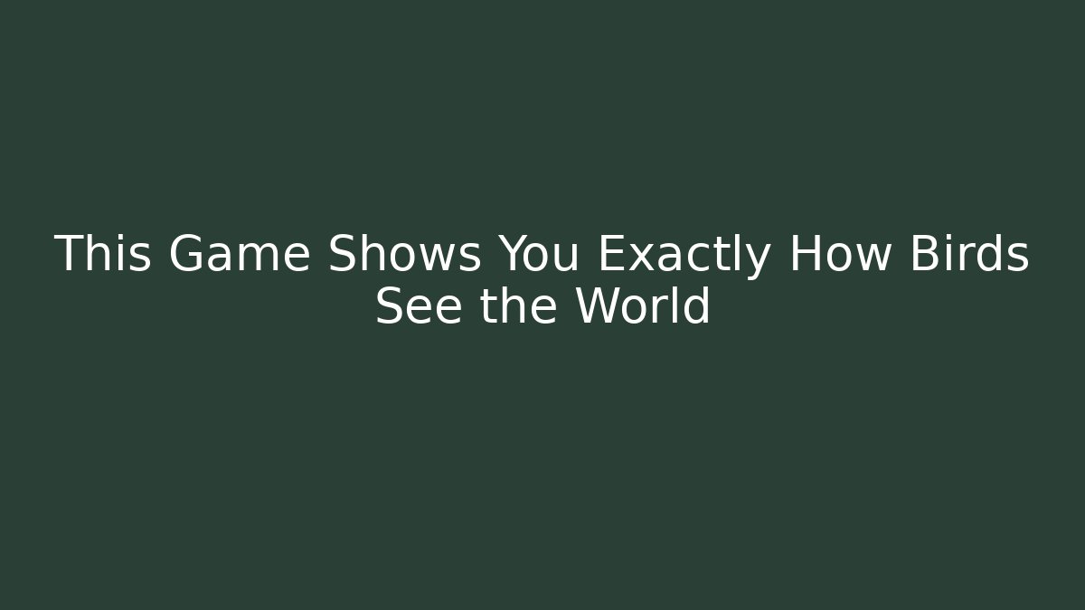 This Game Shows You Exactly How Birds See the World - Boomer Naturals