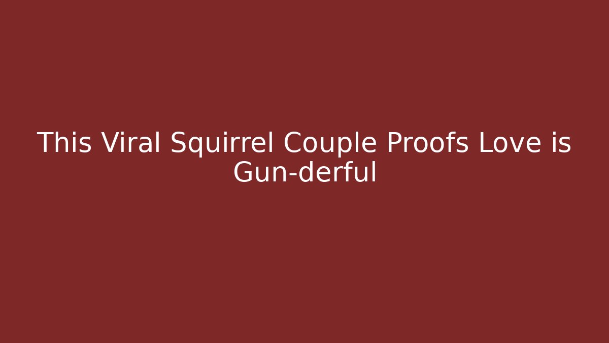 This Viral Squirrel Couple Proofs Love is Gun-derful