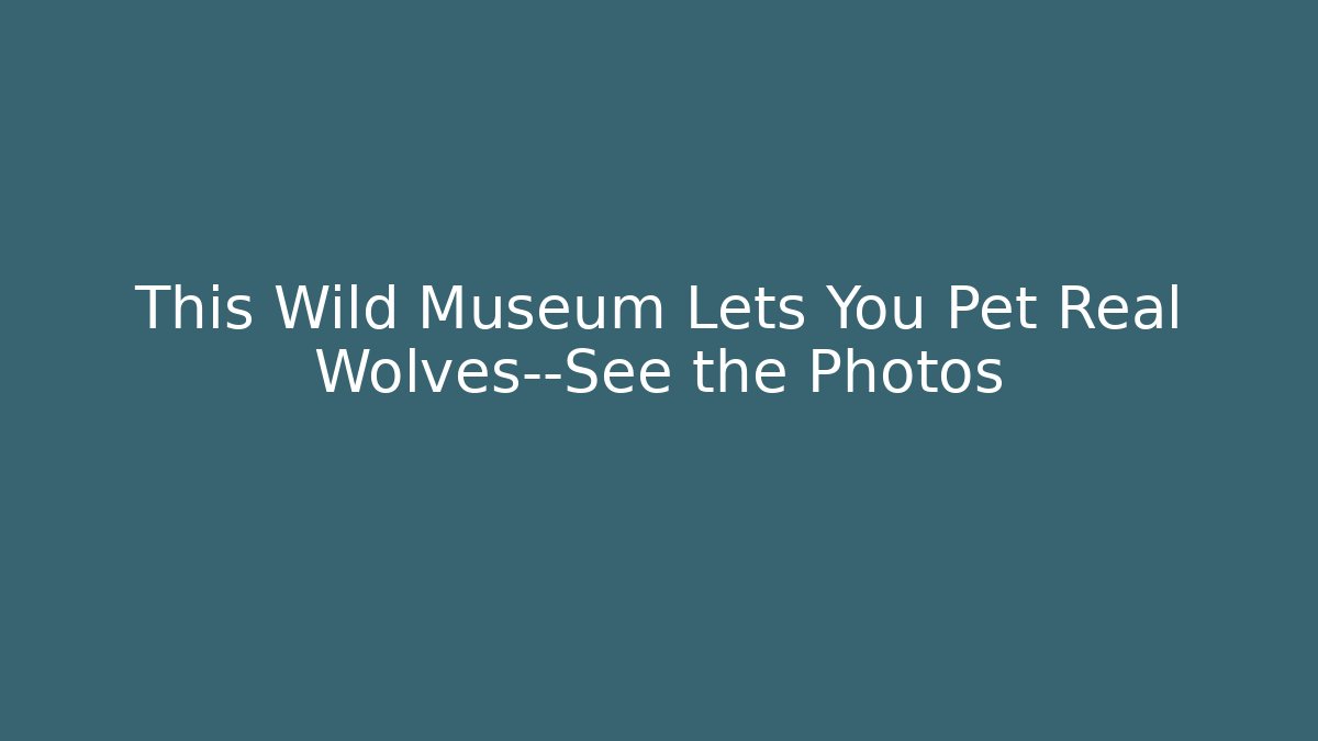 This Wild Museum Lets You Pet Real Wolves—See the Photos