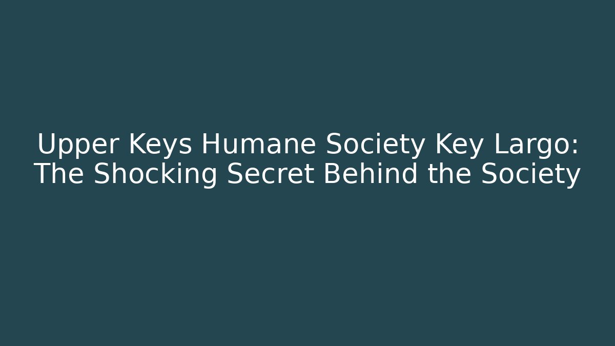 Upper Keys Humane Society Key Largo: The Shocking Secret Behind the Society