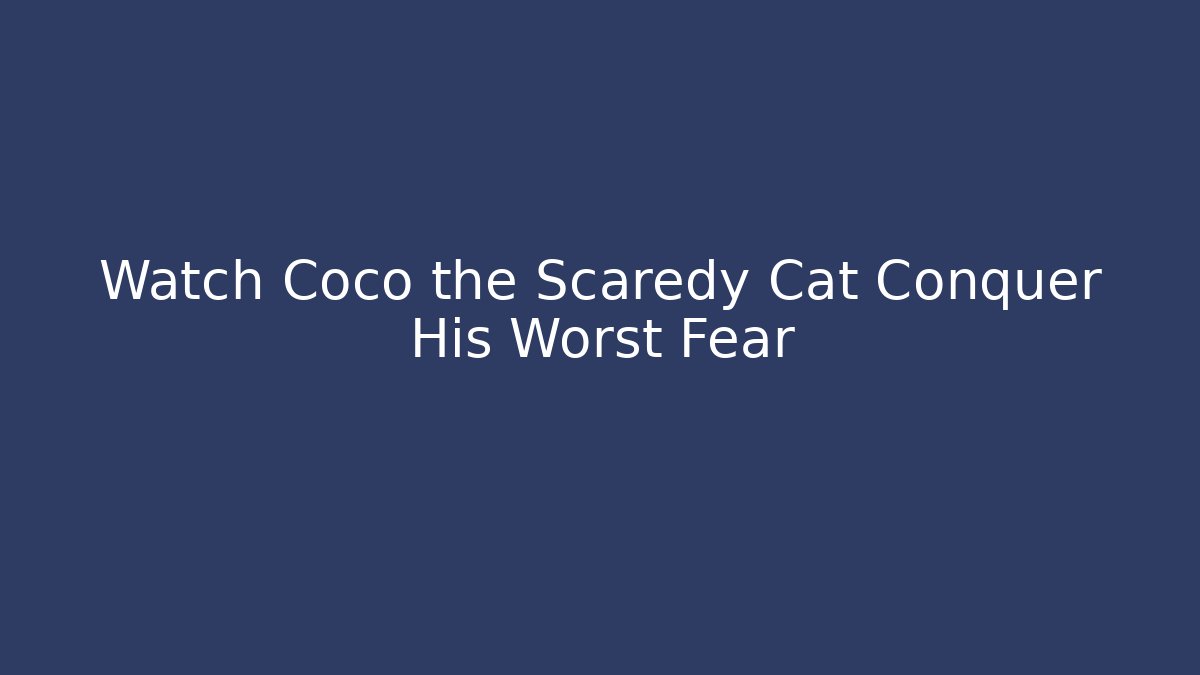 Watch Coco the Scaredy Cat Conquer His Worst Fear