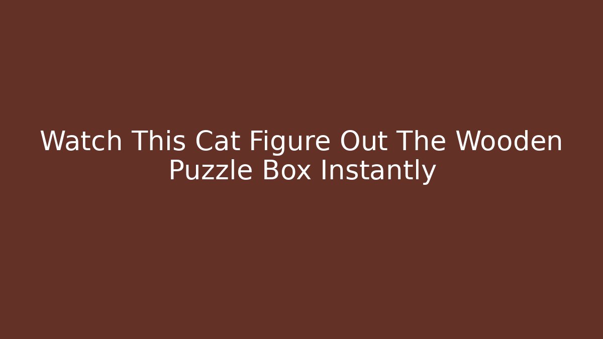 Watch This Cat Figure Out The Wooden Puzzle Box Instantly - Boomer Naturals