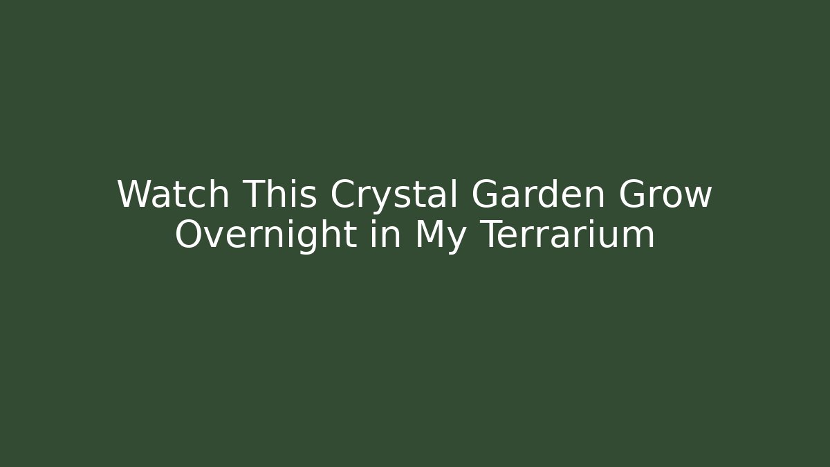 Watch This Crystal Garden Grow Overnight in My Terrarium
