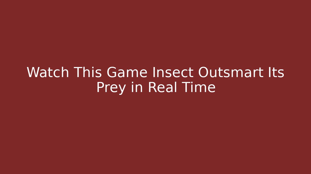 Watch This Game Insect Outsmart Its Prey in Real Time