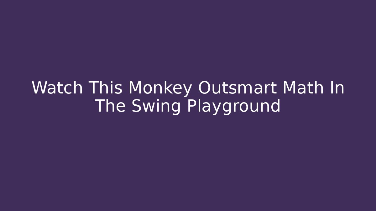 Watch This Monkey Outsmart Math In The Swing Playground