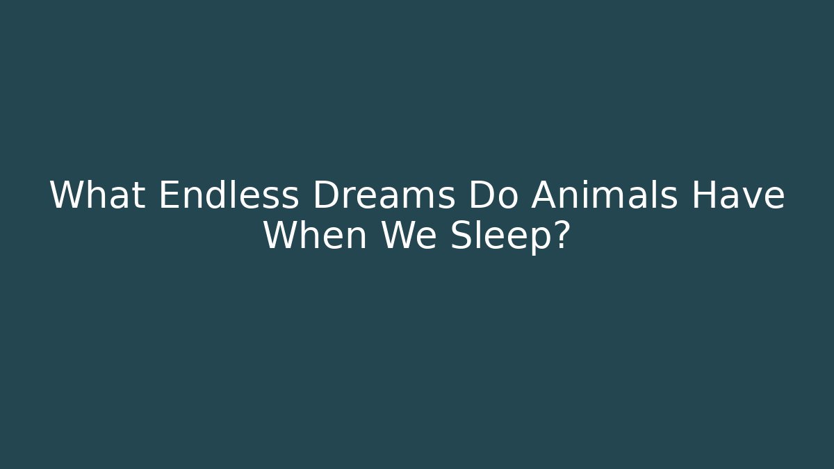 What Endless Dreams Do Animals Have When We Sleep?