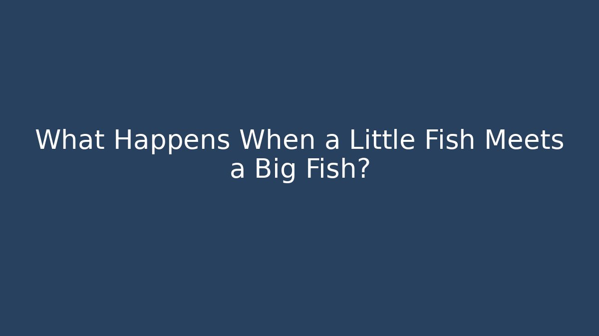 What Happens When a Little Fish Meets a Big Fish?
