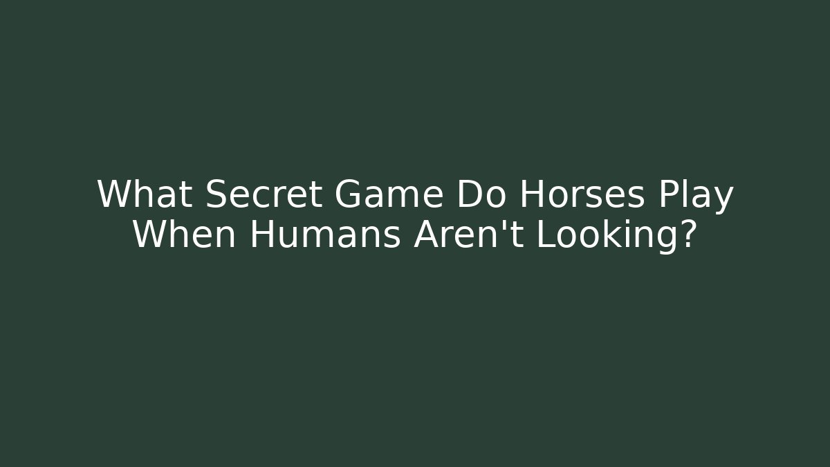 What Secret Game Do Horses Play When Humans Aren't Looking?