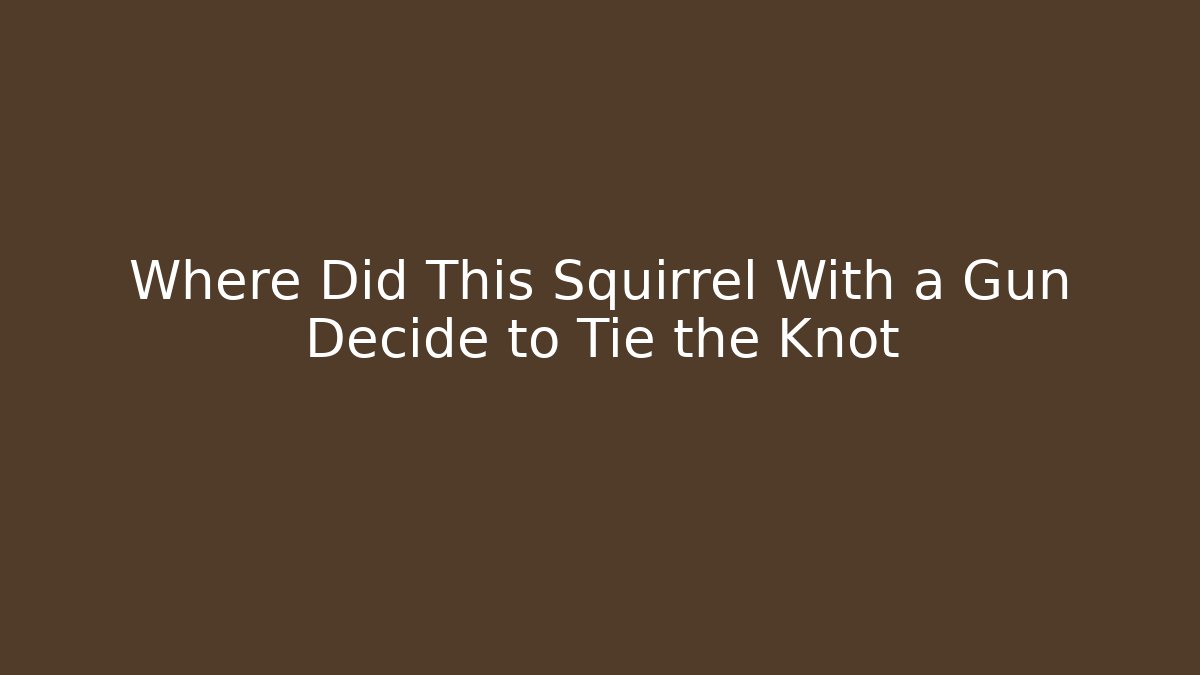 Where Did This Squirrel With a Gun Decide to Tie the Knot