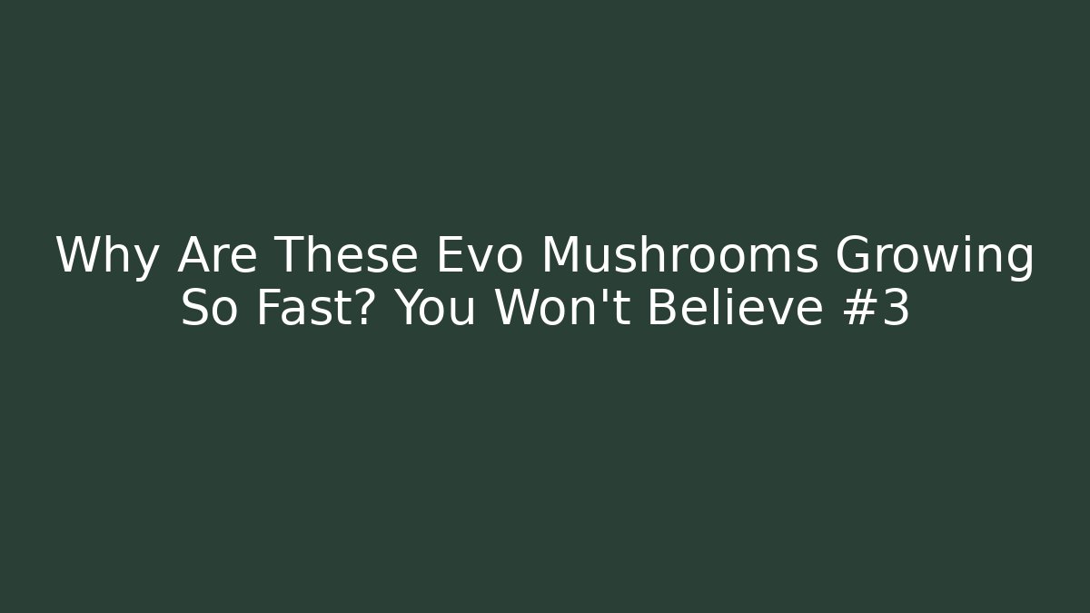 Why Are These Evo Mushrooms Growing So Fast? You Won't Believe #3