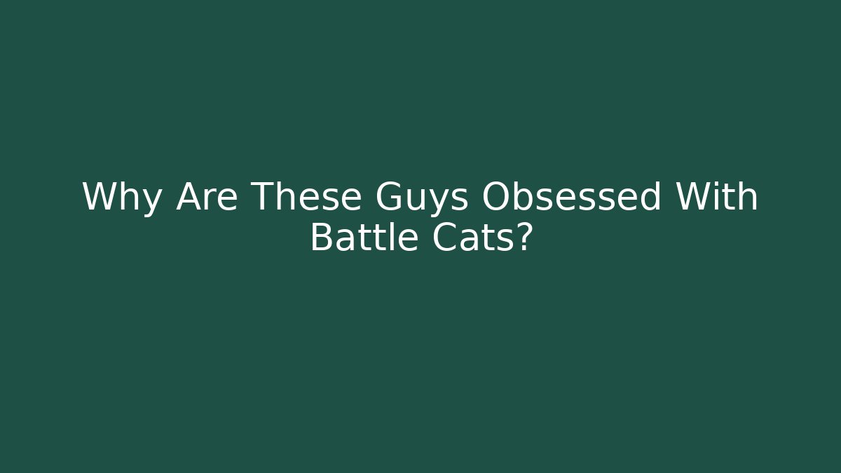 Why Are These Guys Obsessed With Battle Cats? - Boomer Naturals