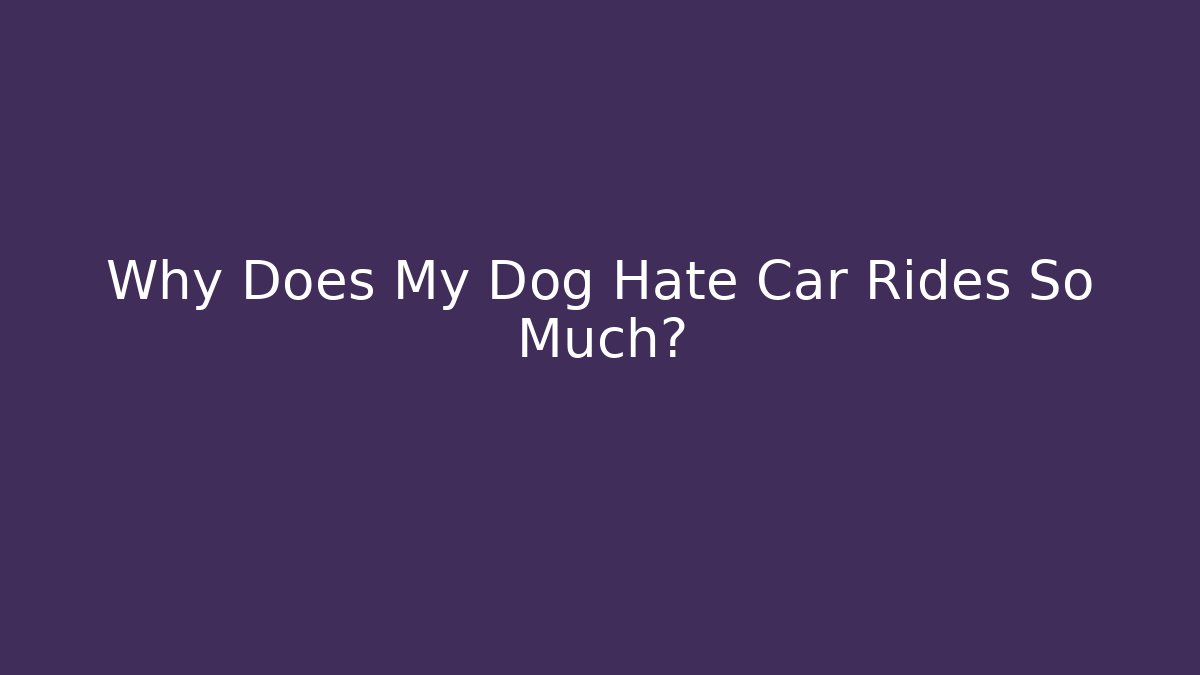 Why Does My Dog Hate Car Rides So Much?