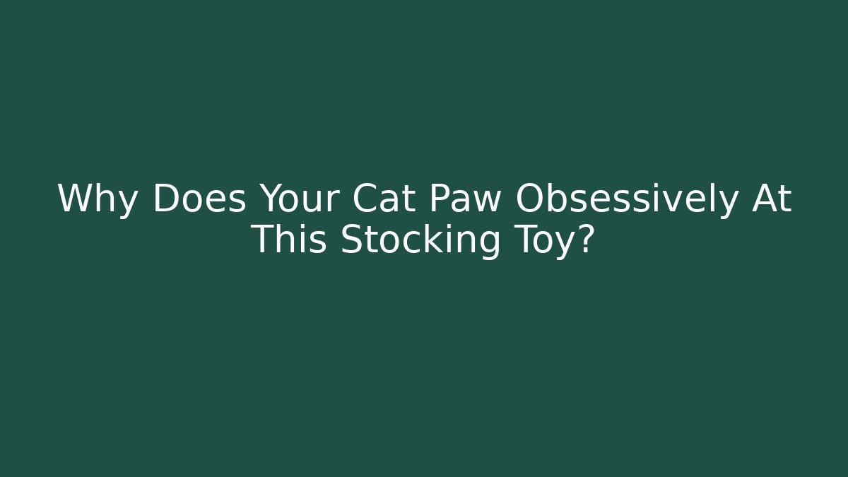 Why Does Your Cat Paw Obsessively At This Stocking Toy? - Boomer Naturals