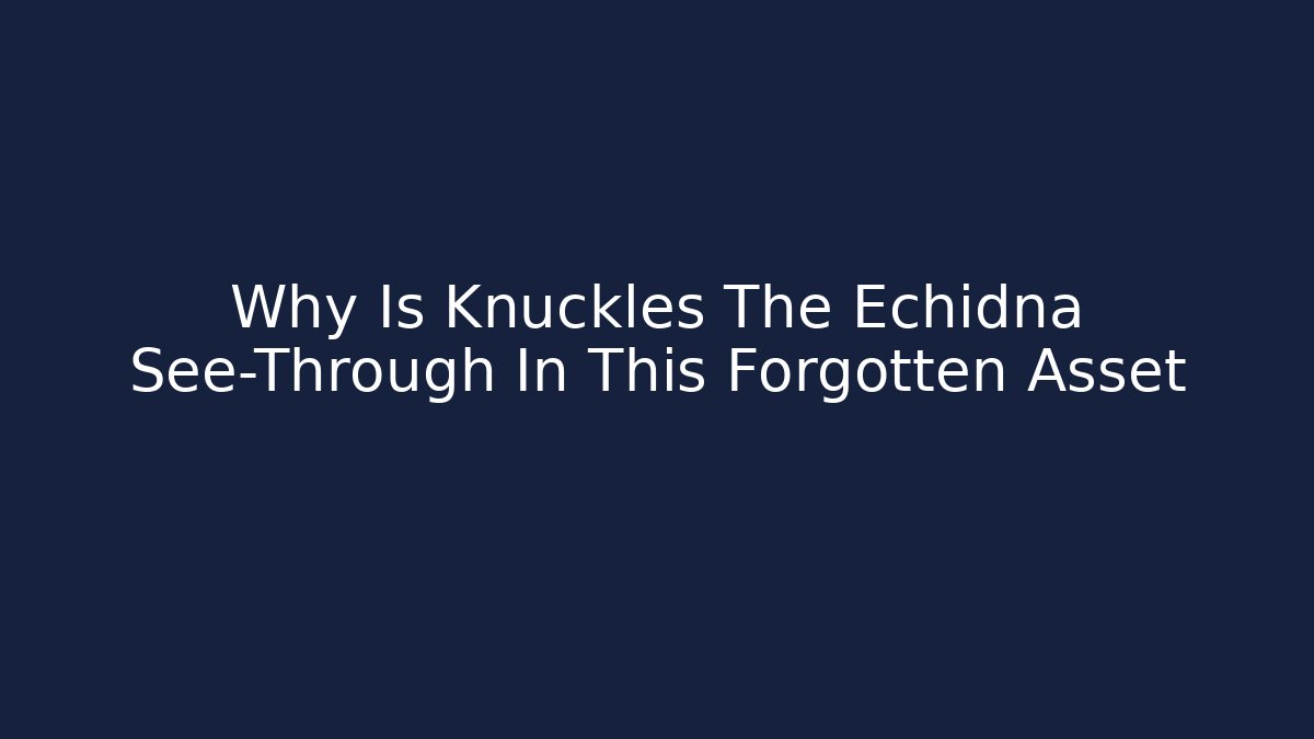 Why Is Knuckles The Echidna See-Through In This Forgotten Asset