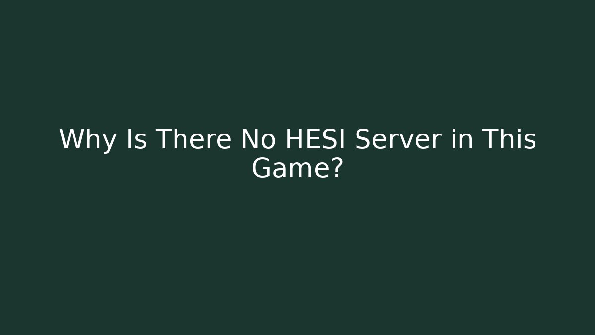 Why Is There No HESI Server in This Game?
