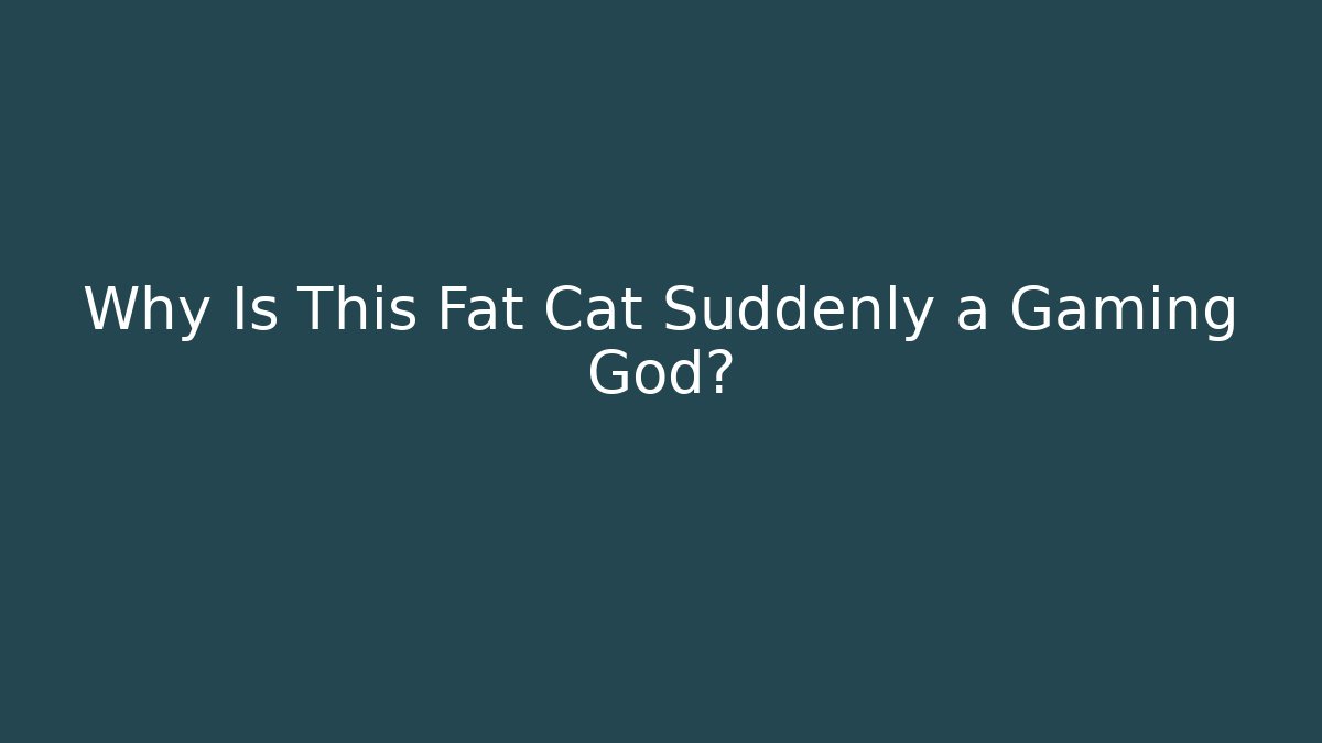 Why Is This Fat Cat Suddenly a Gaming God?