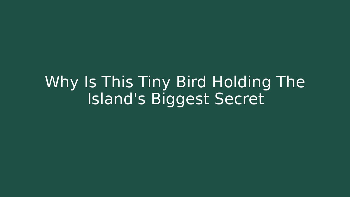 Why Is This Tiny Bird Holding The Island's Biggest Secret