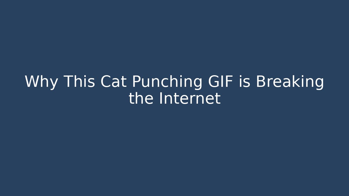 Why This Cat Punching GIF is Breaking the Internet - Boomer Naturals