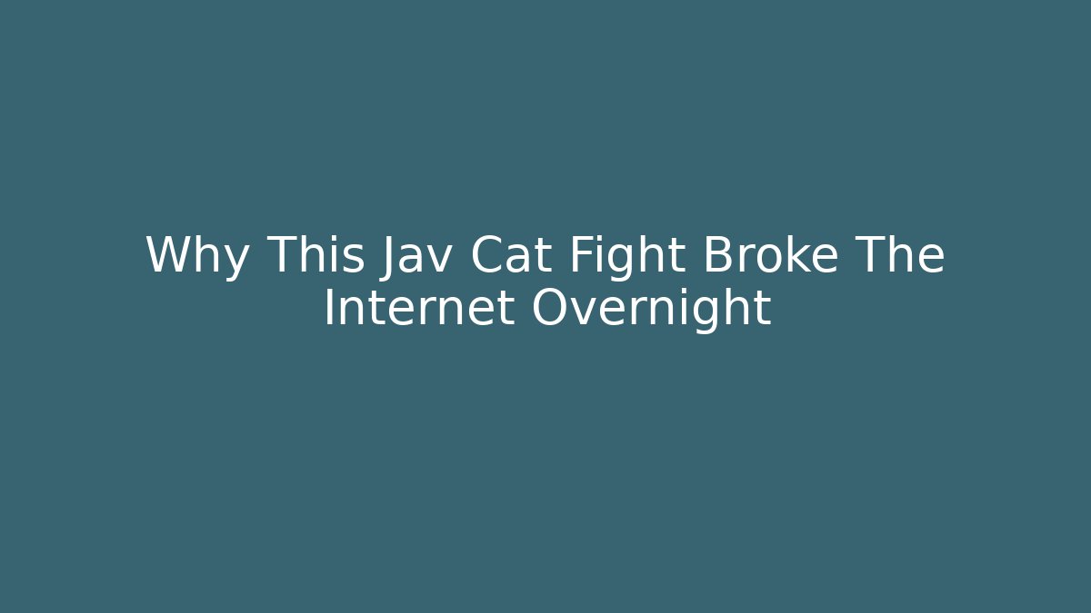 Why This Jav Cat Fight Broke The Internet Overnight