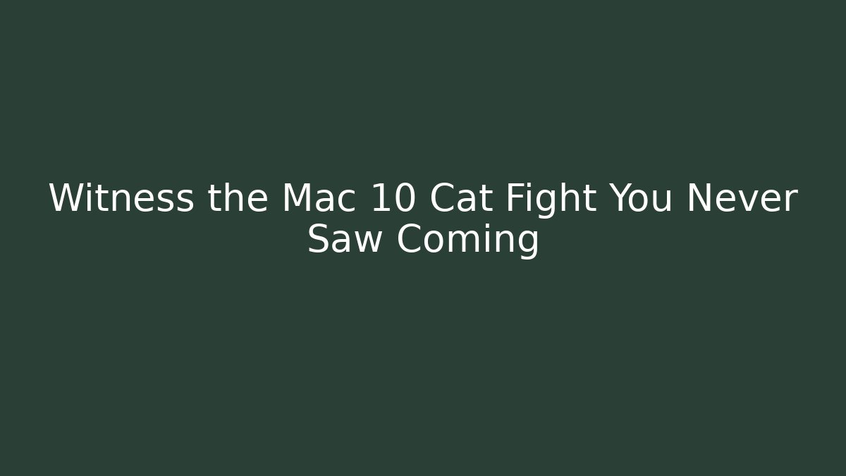 Witness the Mac 10 Cat Fight You Never Saw Coming