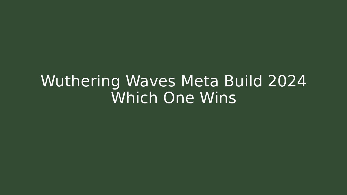 Wuthering Waves Meta Build 2024 Which One Wins - Boomer Naturals