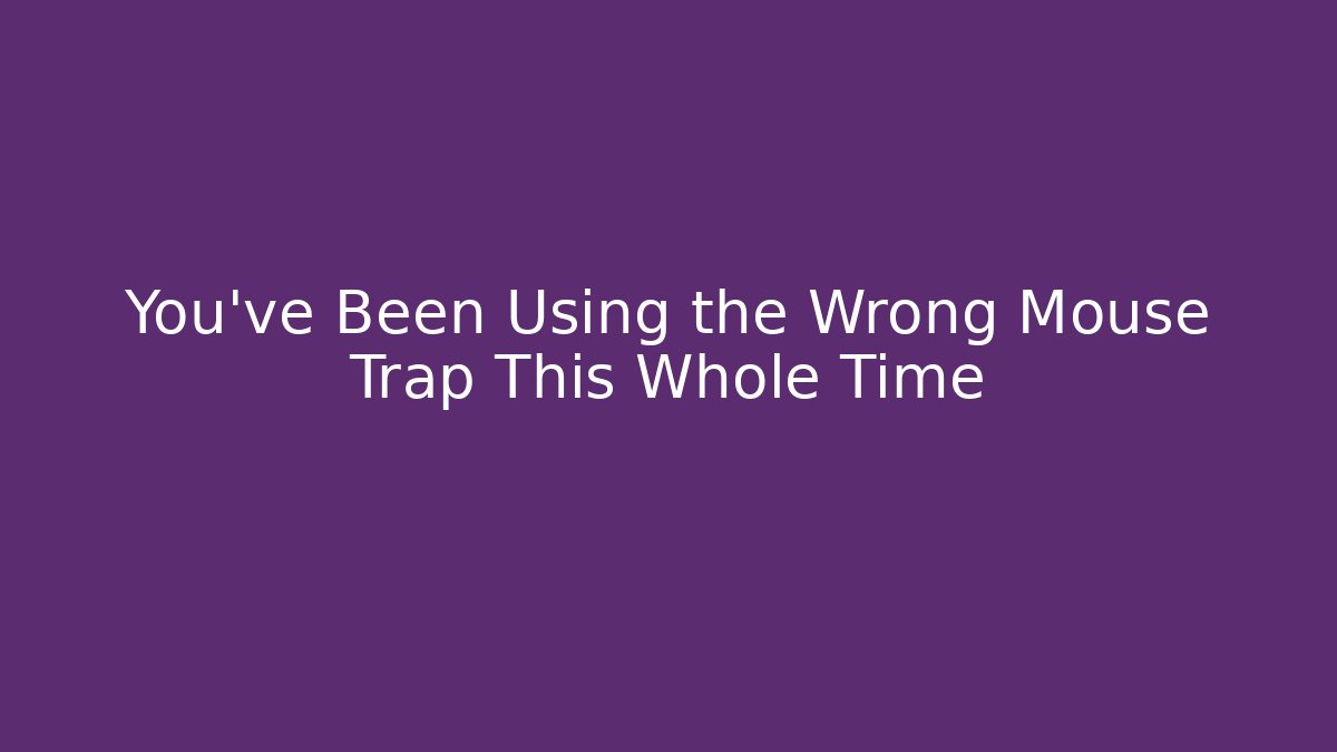 You’ve Been Using the Wrong Mouse Trap This Whole Time