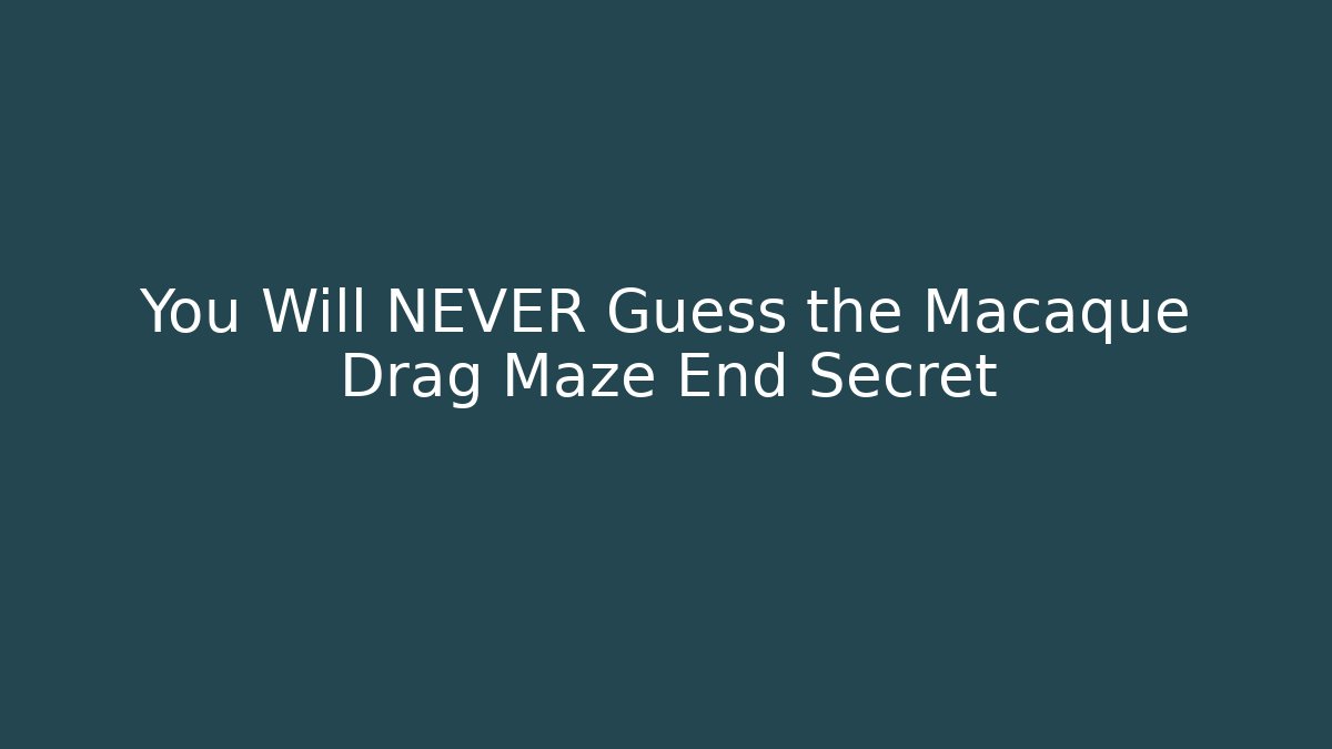 You Will NEVER Guess the Macaque Drag Maze End Secret