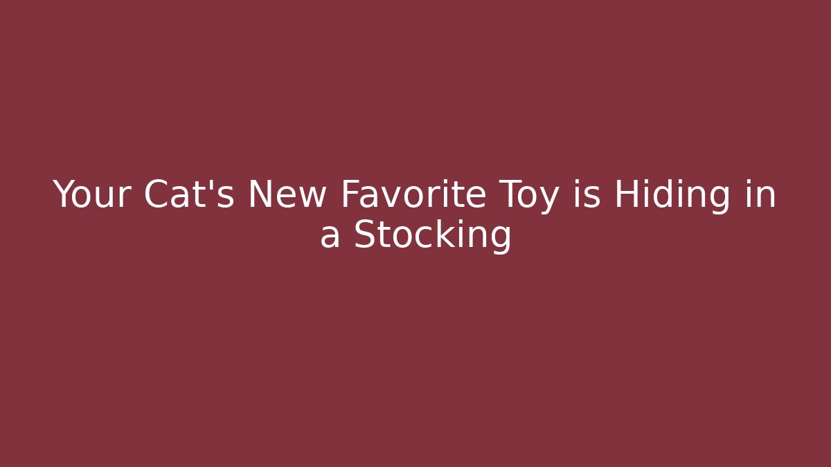 Your Cat’s New Favorite Toy is Hiding in a Stocking