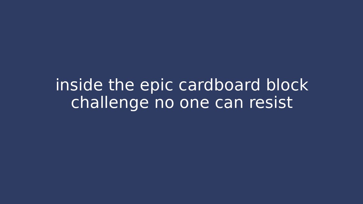 inside the epic cardboard block challenge no one can resist